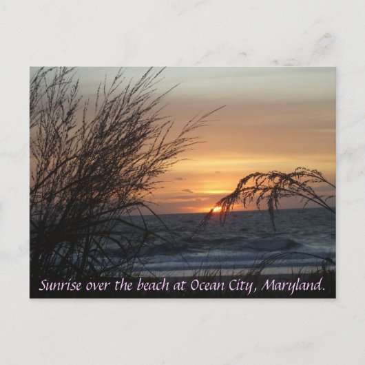 Carte Postale Lever de soleil sur la plage à... (Devant)