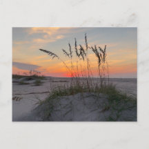 Lever de soleil sur la plage - Vie sur une île côt