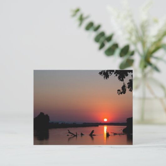 Carte Postale Lever de soleil sur le fleuve Zambèze (Debout devant)