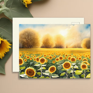 Carte postale Lever de soleil sur un champ de tour