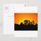 Carte Postale Lever du soleil (Devant / Derrière)