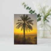 Carte Postale Lever du soleil des palmiers (Debout devant)