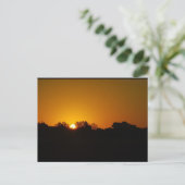 Carte Postale Lever du soleil doré (Debout devant)