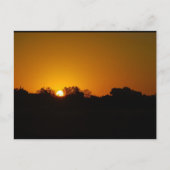 Carte Postale Lever du soleil doré (Devant)