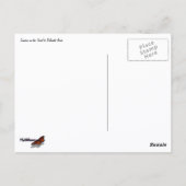 Carte Postale Lever du soleil sur le sentier pour Delicate Arch (Dos)