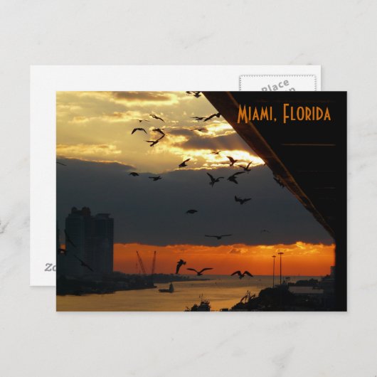 Carte Postale LEVER.... Miami, Floride (Devant / Derrière)