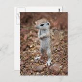 Carte Postale Levez-vous et soyez averti-Customisez-le ! (Devant / Derrière)