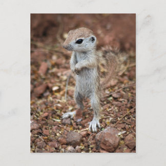 Carte Postale Levez-vous et soyez averti-Customisez-le !