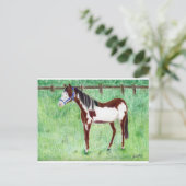 Carte Postale Levi Paint Horse (Debout devant)