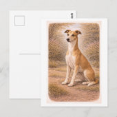 Carte Postale Lévrier Greyhound de style vintage (Devant / Derrière)