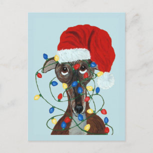 Carte Postale Lévrier Santa empêtré dans les lumières de Noël