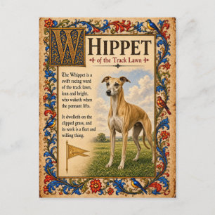 Carte Postale Lévrier Whippet, Art du Bestiaire Médiéval