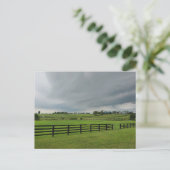 Carte Postale Lexington, Kentucky (Debout devant)