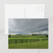 Carte Postale Lexington, Kentucky (Devant / Derrière)