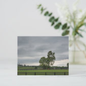 Carte Postale Lexington, Kentucky (Debout devant)