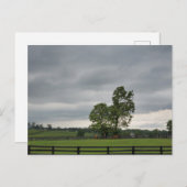 Carte Postale Lexington, Kentucky (Devant / Derrière)