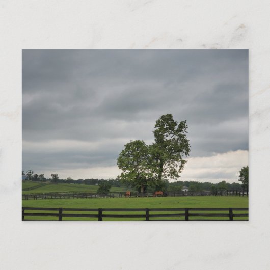 Carte Postale Lexington, Kentucky (Devant)