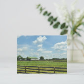 Carte Postale Lexington, Kentucky (Debout devant)