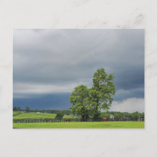 Carte Postale Lexington, Kentucky