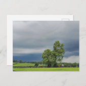 Carte Postale Lexington, Kentucky (Devant / Derrière)