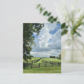 Carte Postale Lexington, Kentucky (Debout devant)