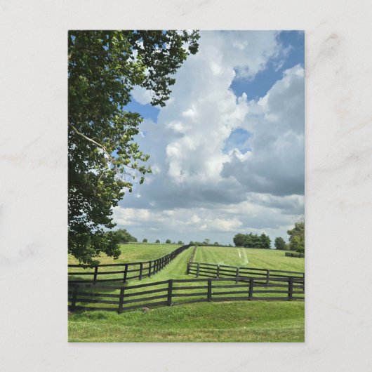 Carte Postale Lexington, Kentucky (Devant)