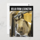 CARTE POSTALE LEXINGTON KENTUCKY HORSE SMILING FUNNY POSTCARD (Devant / Derrière)