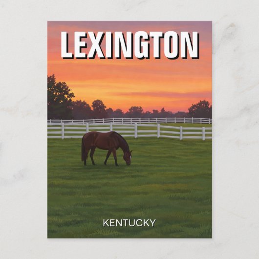 Carte Postale Lexington Kentucky Postcard Horse Sunset (Devant)