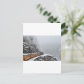 Carte Postale L'Express polaire fait le tour (Debout devant)