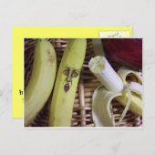 Carte Postale l'extrémité de la corbeille de fruits (Devant / Derrière)