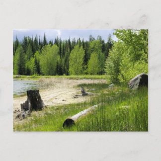Carte Postale L'extrémité du lac - Marshall Lake