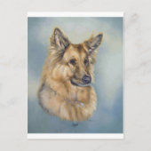 Carte Postale Leyla (Devant)