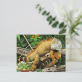 Carte Postale Lézard (Debout devant)