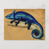 Carte Postale Lézard bleu (Devant)
