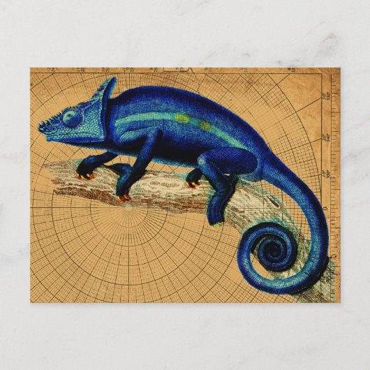 Carte Postale Lézard bleu (Devant)