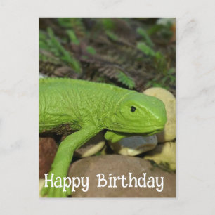 Carte Postale Lézard dans le jardin Joyeux Anniversaire