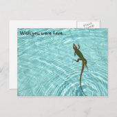Carte postale Lézard de natation (Devant / Derrière)
