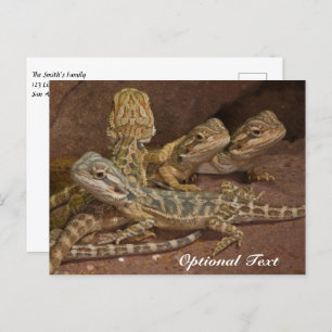 Carte Postale Lézard Dragon Porté Par Un Bébé Personnalisé