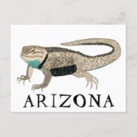 Lézard épicé du désert ARIZONA Nature animale sauv