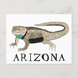 Carte Postale Lézard épicé du désert ARIZONA Nature animale sauv