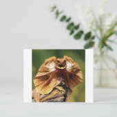 Carte Postale lézard frisé (Debout devant)