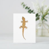 Carte Postale lézard gecko (Debout devant)