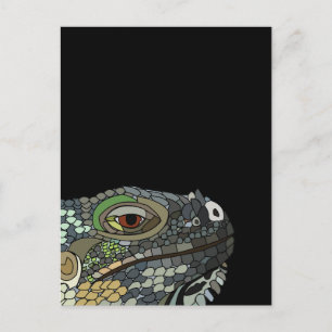 Carte Postale Lézard Iguane Animal Iguana