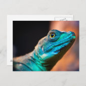 Carte Postale Lézard vert (Devant / Derrière)