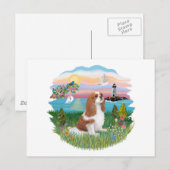 Carte Postale Lghthouse - Cavalier (BL-F) (Devant / Derrière)