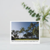 Carte Postale L'hamac à la Chambre du directeur de plantation (Debout devant)