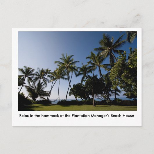 Carte Postale L'hamac à la Chambre du directeur de plantation (Devant)