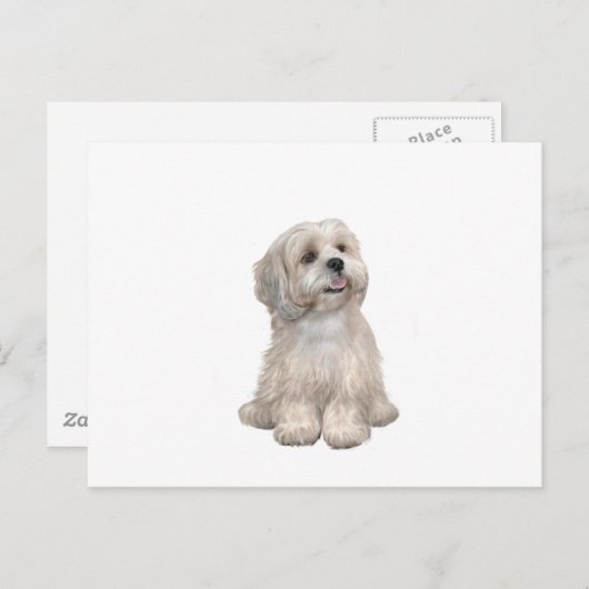 Carte Postale Lhasa Apso (C) - Or léger (Devant / Derrière)