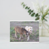 Carte Postale L'herbe est plus verte (Debout devant)