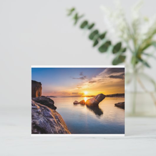 Carte Postale L'heure dorée en Grèce (Debout devant)